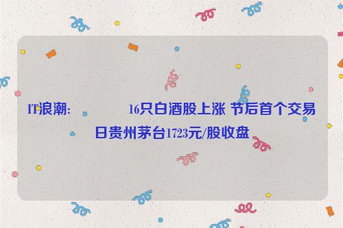 IT浪潮:😐16只白酒股上涨 节后首个交易日贵州茅台1723元/股收盘