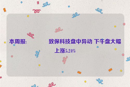 本周报:👟致保科技盘中异动 下午盘大幅上涨5.24%