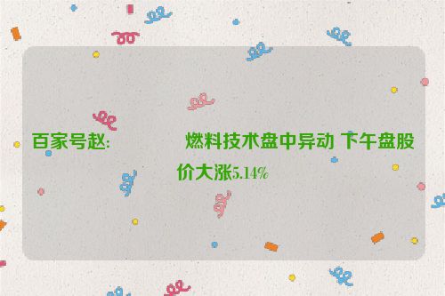 百家号赵:🍦燃料技术盘中异动 下午盘股价大涨5.14%