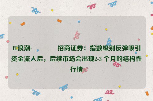 IT浪潮:👑招商证券：指数级别反弹吸引资金流入后，后续市场会出现2-3 个月的结构性行情