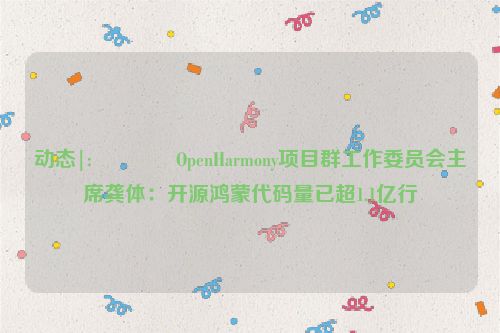 动态|:👳OpenHarmony项目群工作委员会主席龚体：开源鸿蒙代码量已超1.1亿行